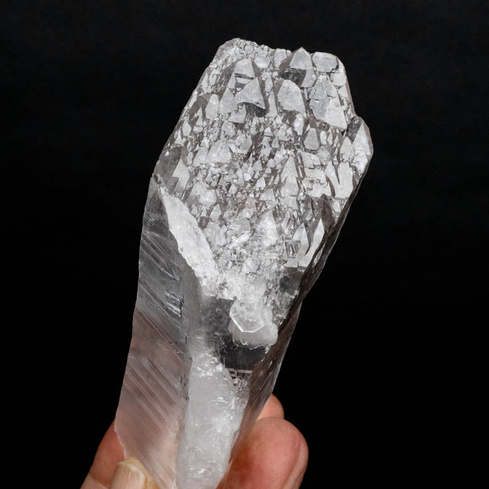 Lemurian Seed Crystal 261 g 125x49mm DT - InnerVision Crystals
