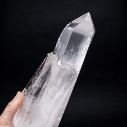 Lemurian Seed Crystal 2632 g 12.25"x3.8" - InnerVision Crystals