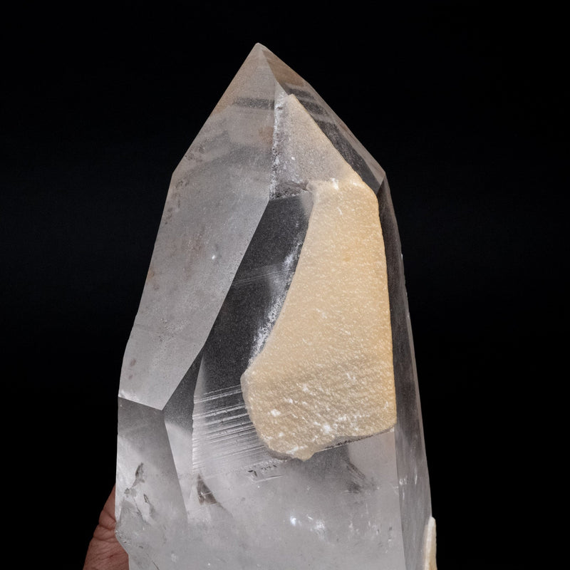 Lemurian Seed Crystal 2690 g 9.25"x4.5" w/ Secondary Quartz Growth - InnerVision Crystals