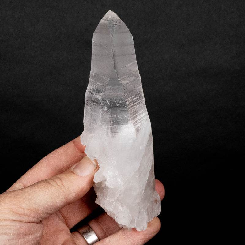 Lemurian Seed Crystal 289 g 148x43mm DT - InnerVision Crystals
