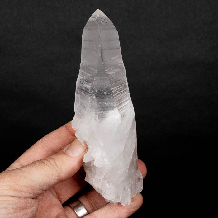 Lemurian Seed Crystal 289 g 148x43mm DT - InnerVision Crystals