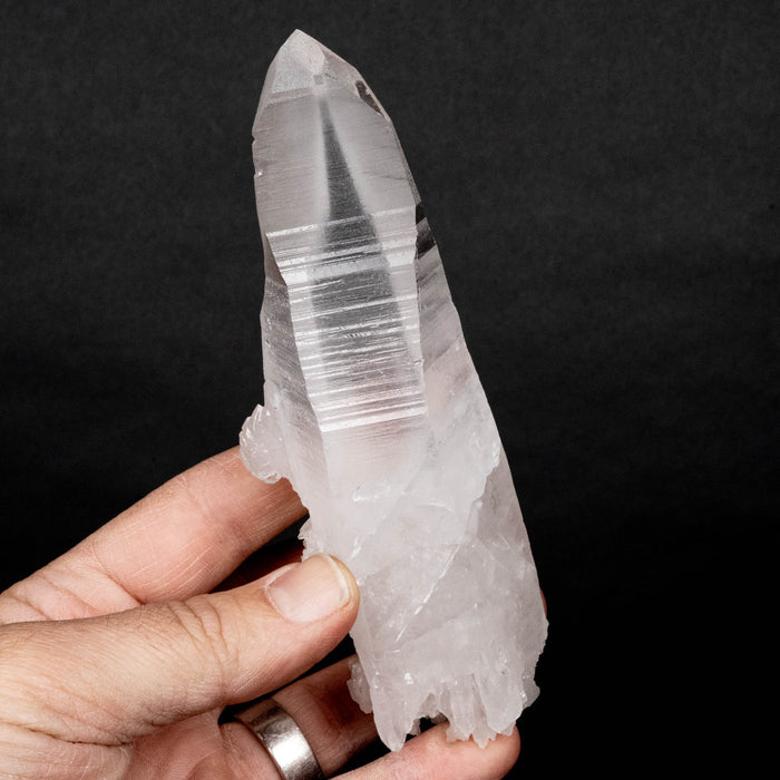 Lemurian Seed Crystal 289 g 148x43mm DT - InnerVision Crystals