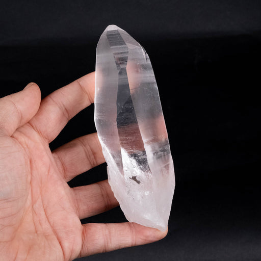 Lemurian Seed Crystal 302 g 134x45mm - InnerVision Crystals