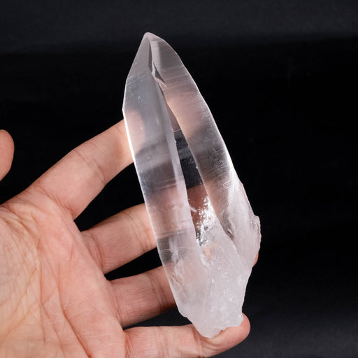 Lemurian Seed Crystal 302 g 134x45mm - InnerVision Crystals