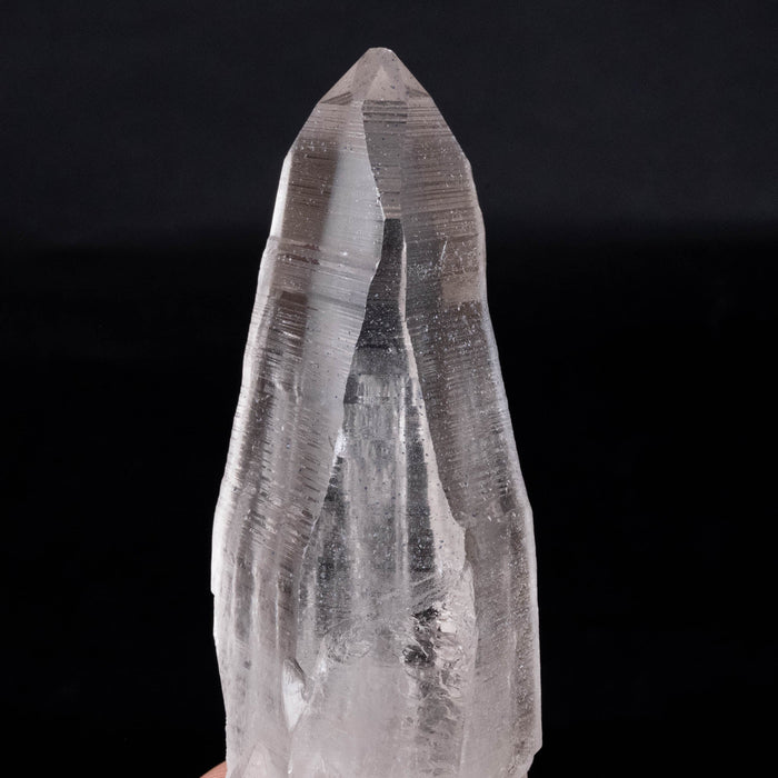 Lemurian Seed Crystal 304 g 138x43mm - InnerVision Crystals