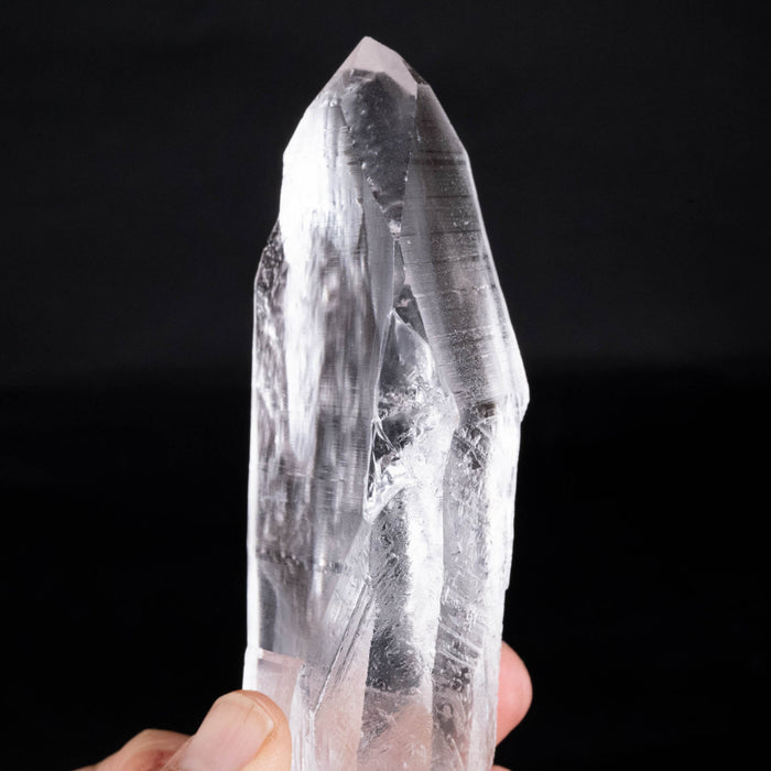 Lemurian Seed Crystal 312 g 155x43mm - InnerVision Crystals