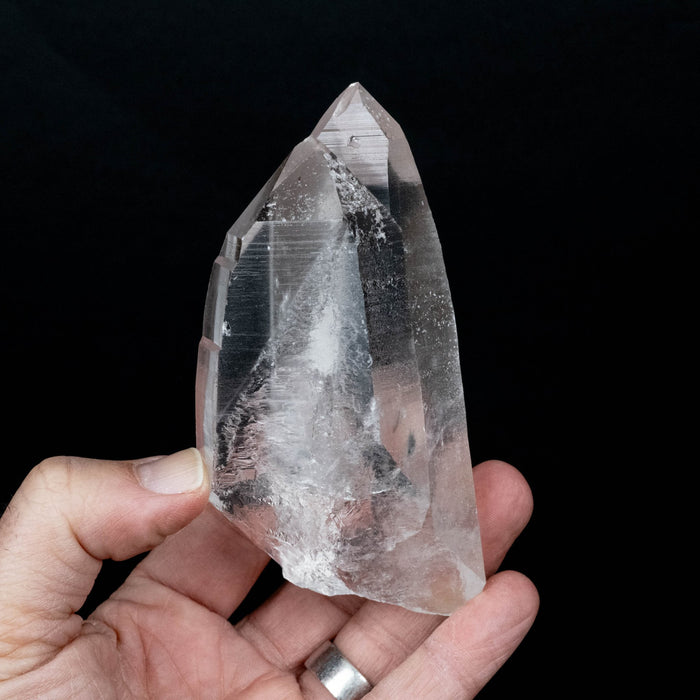 Lemurian Seed Crystal 343 119x59mm - InnerVision Crystals