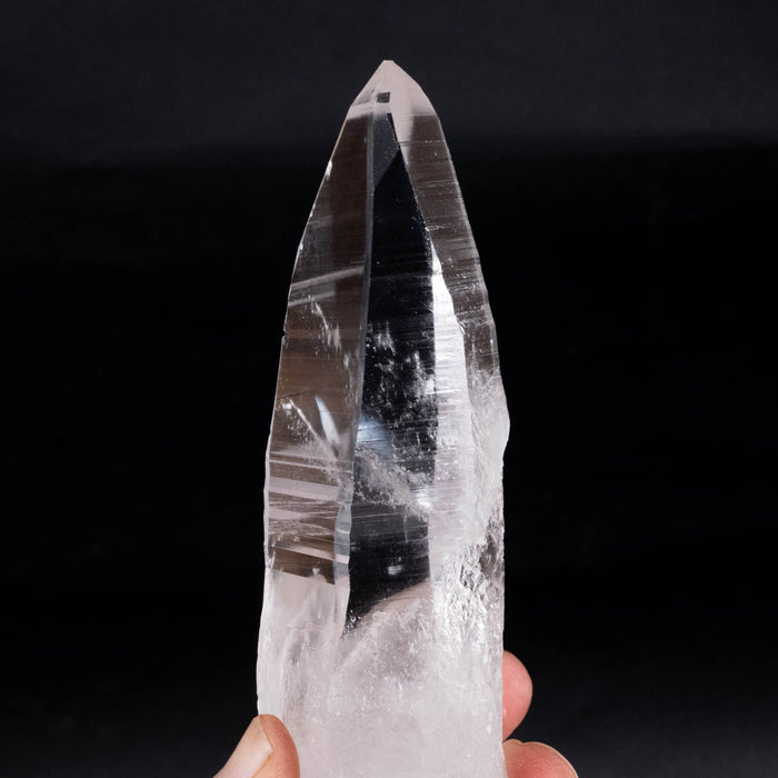 Lemurian Seed Crystal 346 g 150x55mm - InnerVision Crystals