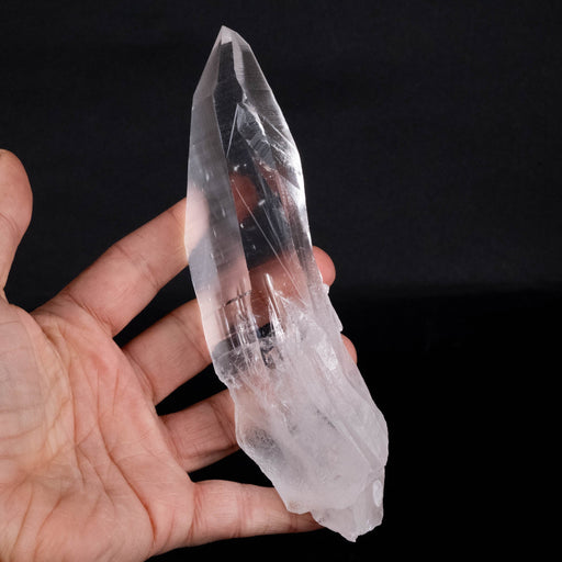 Lemurian Seed Crystal 356 g 171x44mm - InnerVision Crystals