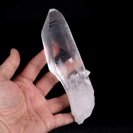 Lemurian Seed Crystal 412 g 171x49mm w/ Penetrator - InnerVision Crystals