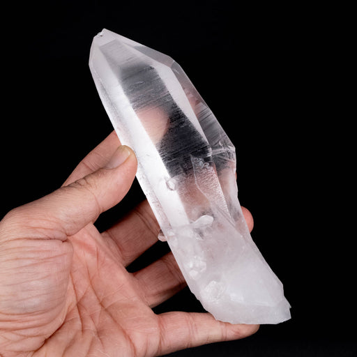 Lemurian Seed Crystal 412 g 171x49mm w/ Penetrator - InnerVision Crystals