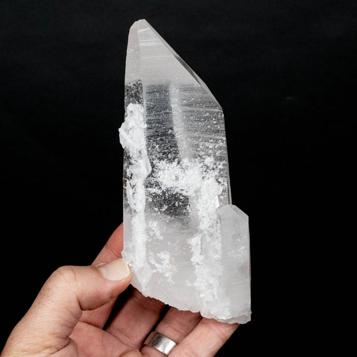 Lemurian Seed Crystal 436 g 150x61mm DT Self Healed - InnerVision Crystals