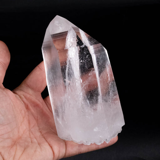 Lemurian Seed Crystal 750 g 135x74mm DT Self Healed - InnerVision Crystals