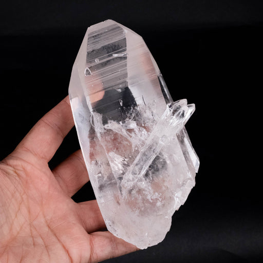 Lemurian Seed Crystal 768 g 150x75mm DT w/ Penetrator - InnerVision Crystals