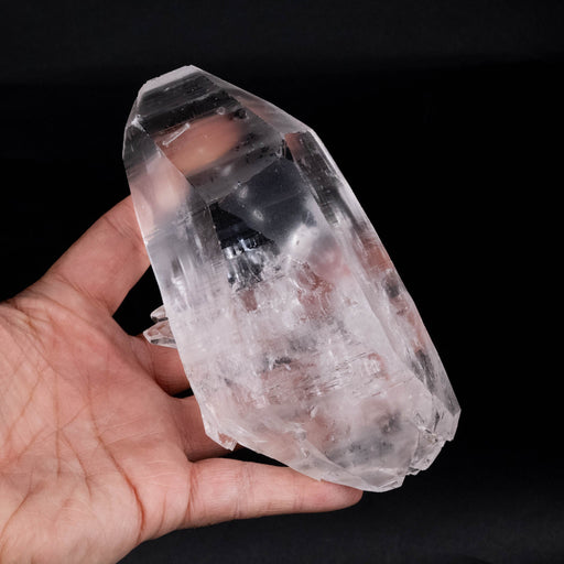 Lemurian Seed Crystal 768 g 150x75mm DT w/ Penetrator - InnerVision Crystals