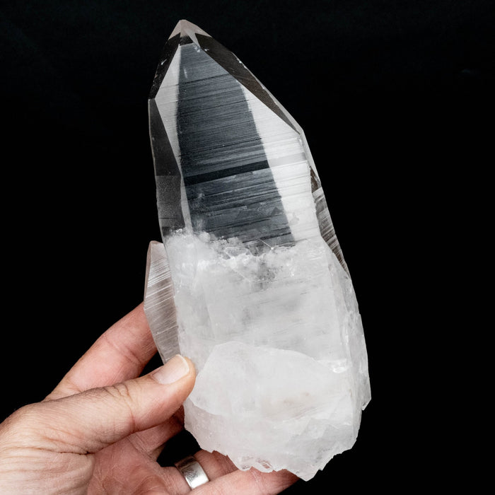 Lemurian Seed Crystal 852 g 180x75mm DT Self Healed - InnerVision Crystals