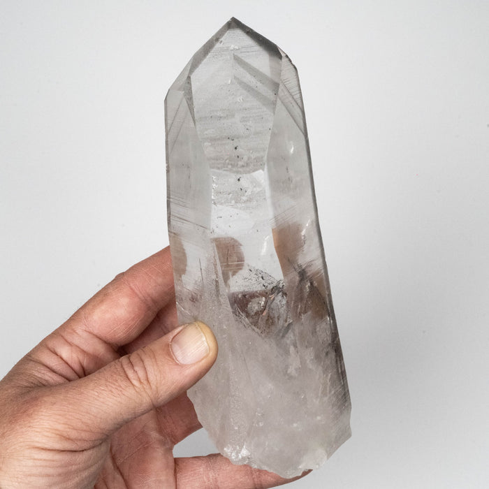 Lemurian Seed Crystal 878 g 173x60mm Black Phantom - InnerVision Crystals