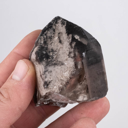 Lemurian Seed Crystal Black Phantom 165 g 61x51mm - InnerVision Crystals