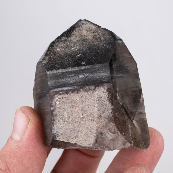 Lemurian Seed Crystal Black Phantom 165 g 61x51mm - InnerVision Crystals