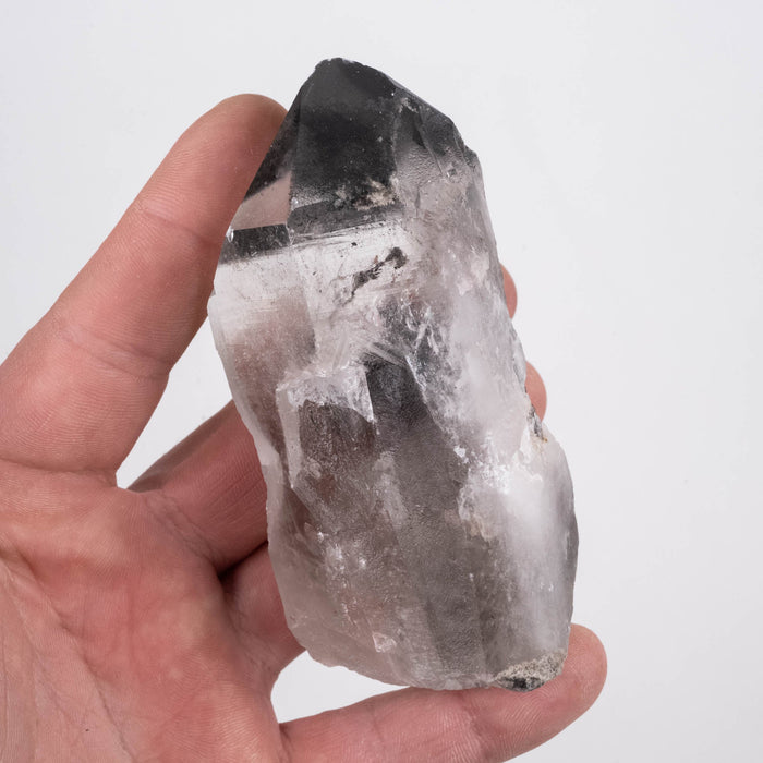 Lemurian Seed Crystal Black Phantom 292 g 103x49mm - InnerVision Crystals