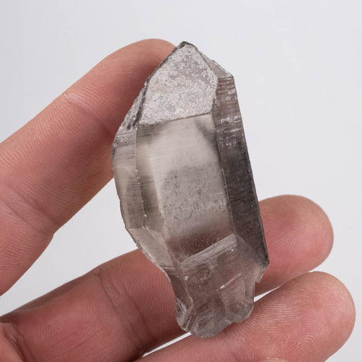 Lemurian Seed Crystal Black Phantom 45 g 58x27mm - InnerVision Crystals
