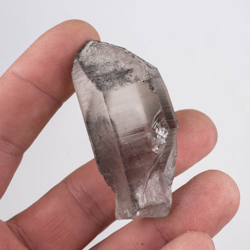 Lemurian Seed Crystal Black Phantom 45 g 58x27mm - InnerVision Crystals