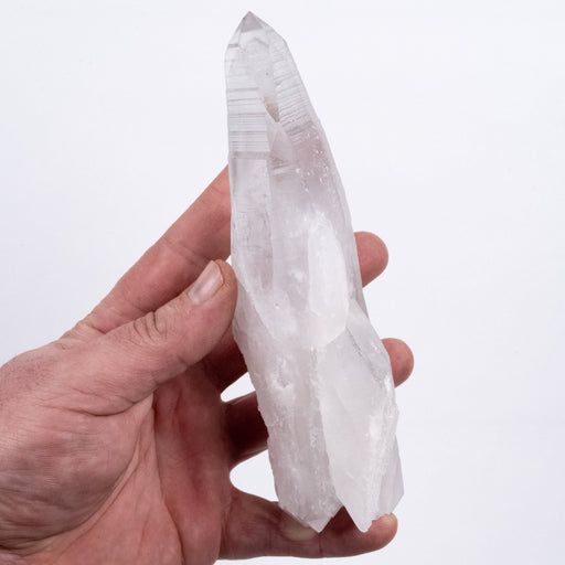 Lemurian Seed Crystal Black Phantom 463 g 169x65mm DT - InnerVision Crystals