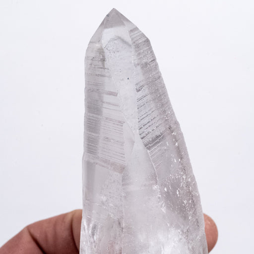 Lemurian Seed Crystal Black Phantom 463 g 169x65mm DT - InnerVision Crystals