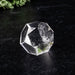 Lemurian Seed Crystal Dodecahedron Carving 38 g 27mm - InnerVision Crystals