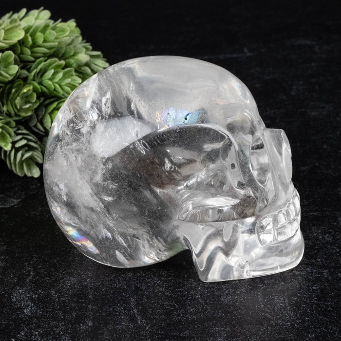 Lemurian Seed Crystal Skull Carving 790 g 96x76x66mm - InnerVision Crystals