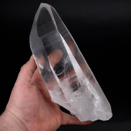 Lemurian Seed Crystal w/ Record Keepers 2020 g 227x84mm - InnerVision Crystals