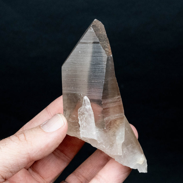 Lemurian Seed Quartz Crystal 174 g 97x40mm - InnerVision Crystals