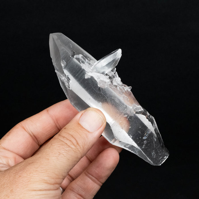 Lemurian Seed Quartz Crystal 203 g 125x43mm - InnerVision Crystals