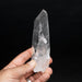 Lemurian Seed Quartz Crystal 224 g 133x44mm - InnerVision Crystals