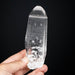 Lemurian Seed Quartz Crystal 256 g 136x45mm - InnerVision Crystals