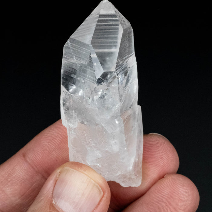Lemurian Seed Quartz Crystal 42 g 61x24mm - InnerVision Crystals