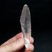 Lemurian Seed Quartz Crystal 44 g 97x22mm - InnerVision Crystals