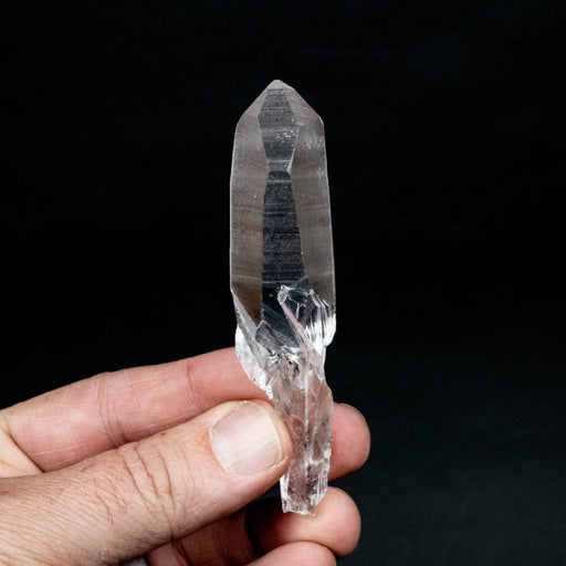 Lemurian Seed Quartz Crystal 44 g 97x22mm - InnerVision Crystals