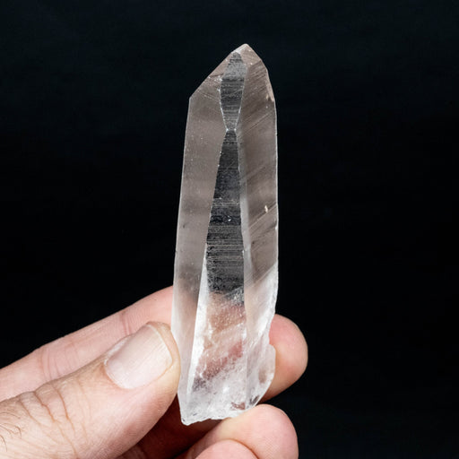 Lemurian Seed Quartz Crystal 50 g 82x25mm - InnerVision Crystals