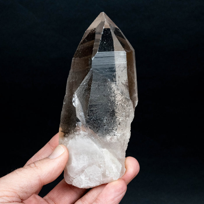 Lemurian Seed Quartz Crystal 501 g 138x50mm - InnerVision Crystals