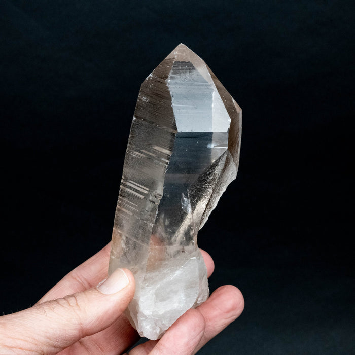 Lemurian Seed Quartz Crystal 501 g 138x50mm - InnerVision Crystals