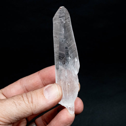 Lemurian Seed Quartz Crystal 62 g 98x27mm - InnerVision Crystals