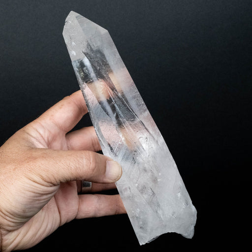 Lemurian Seed Quartz Crystal 778 g 217x63mm - InnerVision Crystals