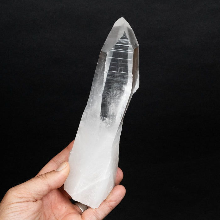 Lemurian Seed Quartz Crystal 782 g 207x53mm - InnerVision Crystals