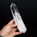 Lemurian Seed Quartz Crystal 782 g 207x53mm - InnerVision Crystals