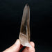 Lemurian Seed Quartz Crystal 81 g 106x41mm - InnerVision Crystals