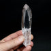 Lemurian Seed Quartz Crystal 83 g 115x24mm - InnerVision Crystals