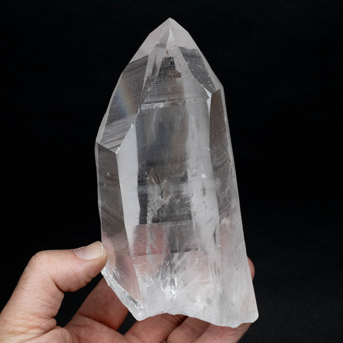 Lemurian Seed Quartz Crystal 874 g 154x83mm - InnerVision Crystals