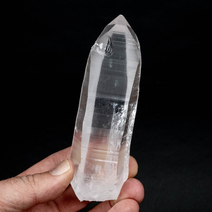 Lemurian Seed Quartz Crystal *DING 220 g 129x40mm - InnerVision Crystals