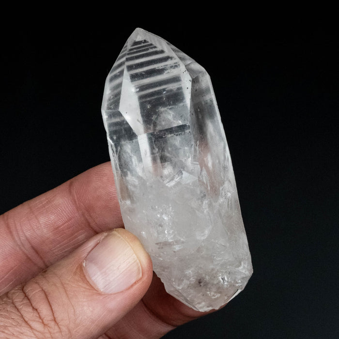 Lemurian Seed Quartz Crystal DT 101 g 80x36mm - InnerVision Crystals